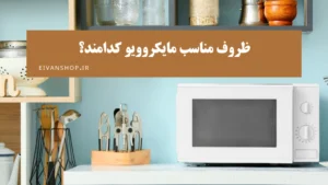 چه ظروفی را در مایکروویو قرار دهیم؟